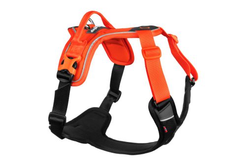 RAMBLE HARNESS - XL